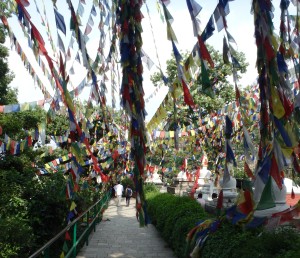 Acacia's ptayer flags in Kathmandu Nepal